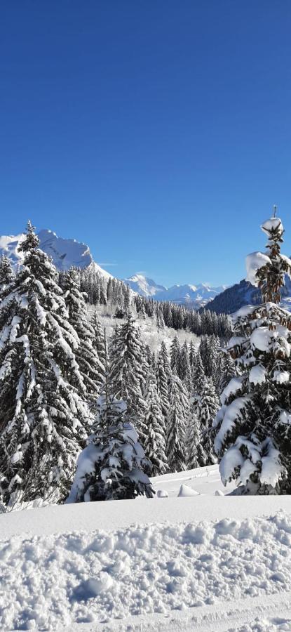 Studio Marmotte Font-Romeu 4 Personnes Avec Balcon Residence Val Soleil Entierement Renove En Juin 2021 Place De Parking & Wifi Gratuit , Draps & Serviettes De Toilettes Non Inclus, Sabanas Y Toallas No Incluidos מראה חיצוני תמונה